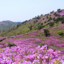 사포산촌생태마을 이미지