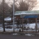 원주여자중학교 이미지