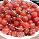 보리수펜션 이미지