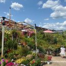 수림꽃농원 이미지