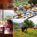 중궁원리 마을회관 | 통도사 홍매화부터 시작하는 양산 꽃구경 추천 명소 BEST 8