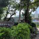 삼회리보건진료소 이미지