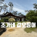원주 용수골 맛집 조가네 갑오징어 원주점 방문후기