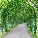 엔도르핀농장 이미지