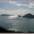 복생도 Daum카페
