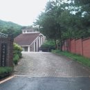 도미니꼬