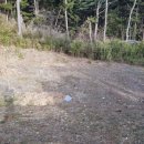 만리포해수욕장 관광지 이미지