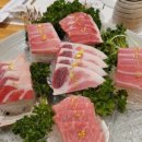 민참치 이미지