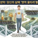 성화포장