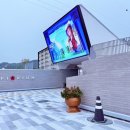 남원관광지 | 전북 남원 신상 핫플 피오리움 실내 포토존 미디어아트 할인 꿀팁