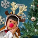 홍익태권도 이미지