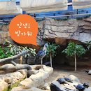 래빗가든 | 사천 아쿠아리움 주변 맛집 🌅 노을이 예쁜 페브러리래빗 보리밥정식 후기