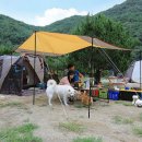 청산관광농원(트리독스) 이미지