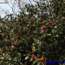 오동도호텔 이미지