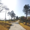 토성흙침대 - 기장군 정관산업로 1133 | (내돈내산) 동촌유원지 대한돼지/대구 인터불고호텔 숙박 후기