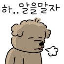 내가 주인공이다 이미지