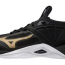 2112 | 미즈노모멘텀미드 미즈노 MIZUNO 웨이브 모멘텀 2 배구화 배드민턴화 V1GA2112 로우 미드 후기