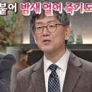 세계 3대 동계 전투 「장진호 전투」 추위로 참혹하게 죽어간 군인들 이미지