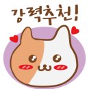 살롱딜라잇 이미지