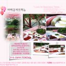 강촌 러브레터 펜션 이미지