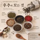 🧂 소금후추 추천,최화정후추 부럽지 않은 가성비 셀라페퍼 후기