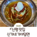 신평칼국수 | [신평 맛집] 신평역 앞 신가네 가야밀면 칼국수, 밀면 다 먹어본자의 후기