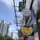 리플리네일 이미지