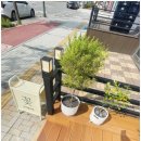 리민플라워 원주꽃집 꽃다발근조화환화분은 원주 행구동 꽃집으로 새벽마다 꽃시장에서 직접 골라온 꽃...