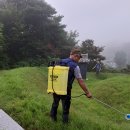 경남 합천읍. 영창리 신소양 전리판서공파 후 파조 18세 전서공 남자우19세 둔암공 집자 부자 선영 묘소 2차 잡초제 살포 완료 이미지