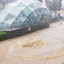 도림천 산책로5 이미지