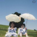 우리옷효원 | 돌준맘 | #3 돌스냅_ 비백, 헤이데이픽스, 스냅뮤즈 비교+계약까지 (서울 경기 필름감성 돌스냅)