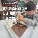 농업회사법인 숲이랑 제2농장 | 용인곤충테마파크 아이와 체험 총정리｜실내 가볼만한곳
