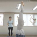 건강체형교실 이미지