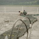 선정은하수꼬막마을 이미지