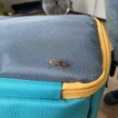 단이농장 이미지