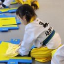 세종태왕(세종태권도왕) 이미지