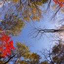 가을코스2 이미지