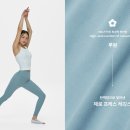 뮬라 이미지