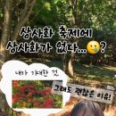 불갑사관광지 주차장 이미지