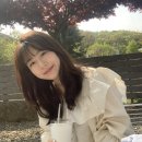 커피와일드