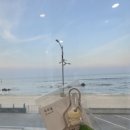 토리두두 이미지