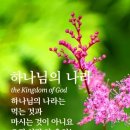 이초석: 교회신문 ＞ 제 1246호 미련한 자에게 일을 맡기지 말라 (잠4:7) 이미지