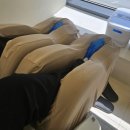 이리산소 | 하남미사노령견재활 리듬펫헬스케어 슬개골탈구 반려동물 근적외선 산소방 케어