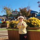 룩 소굿 | 등원룩모자추천 챙넓은모자 보닛햇 버킷햇 솔직후기 나들이에서도 잘썼어요 굿굿