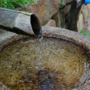 오아시스목욕탕 이미지