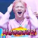 죠야 이미지