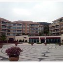 웰니스 코리아 이미지