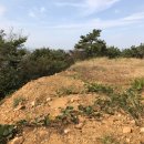 대부도 바닷가펜션 이미지