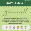 분당방역