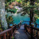 쇠소깍 공영 이미지